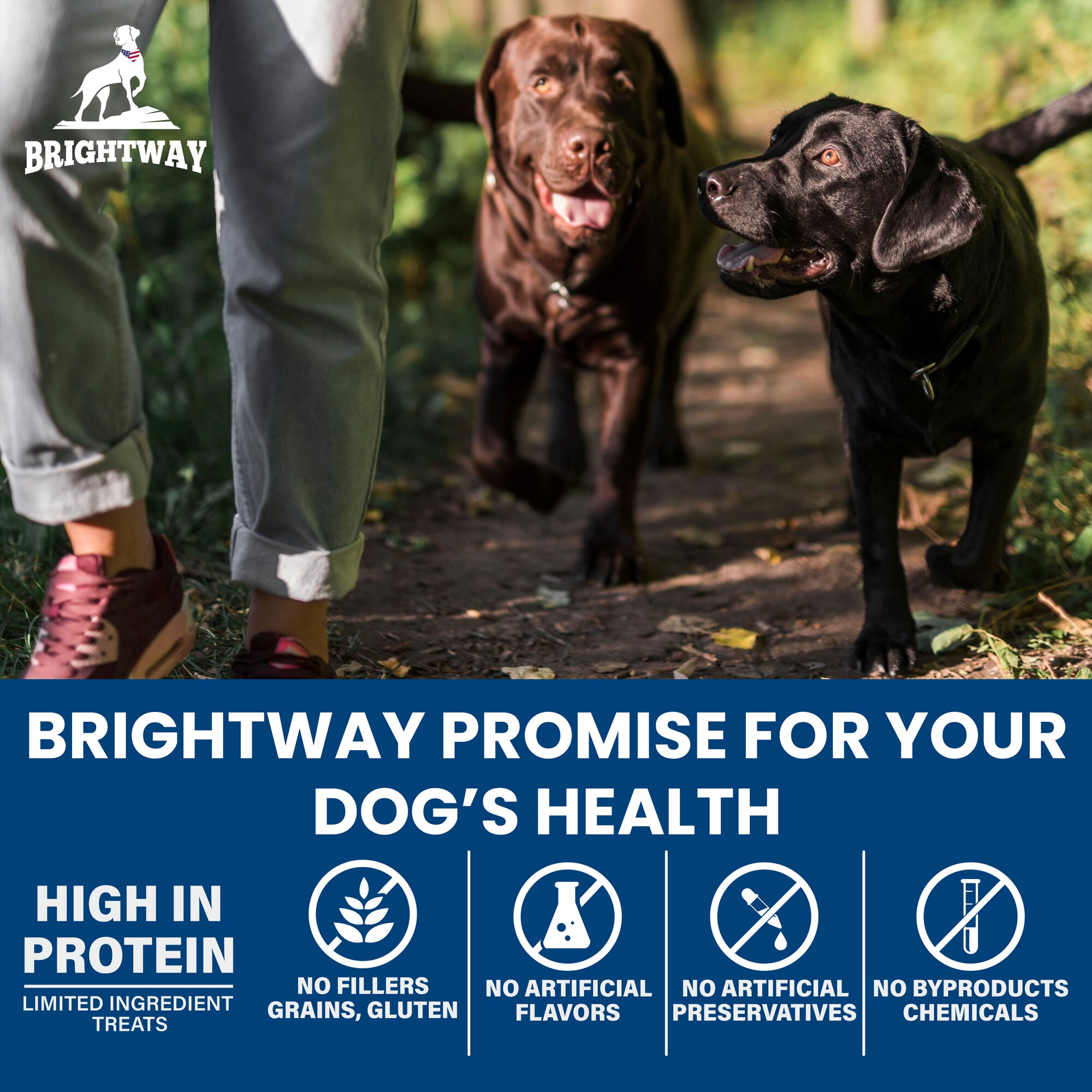 Primal Protein Bites