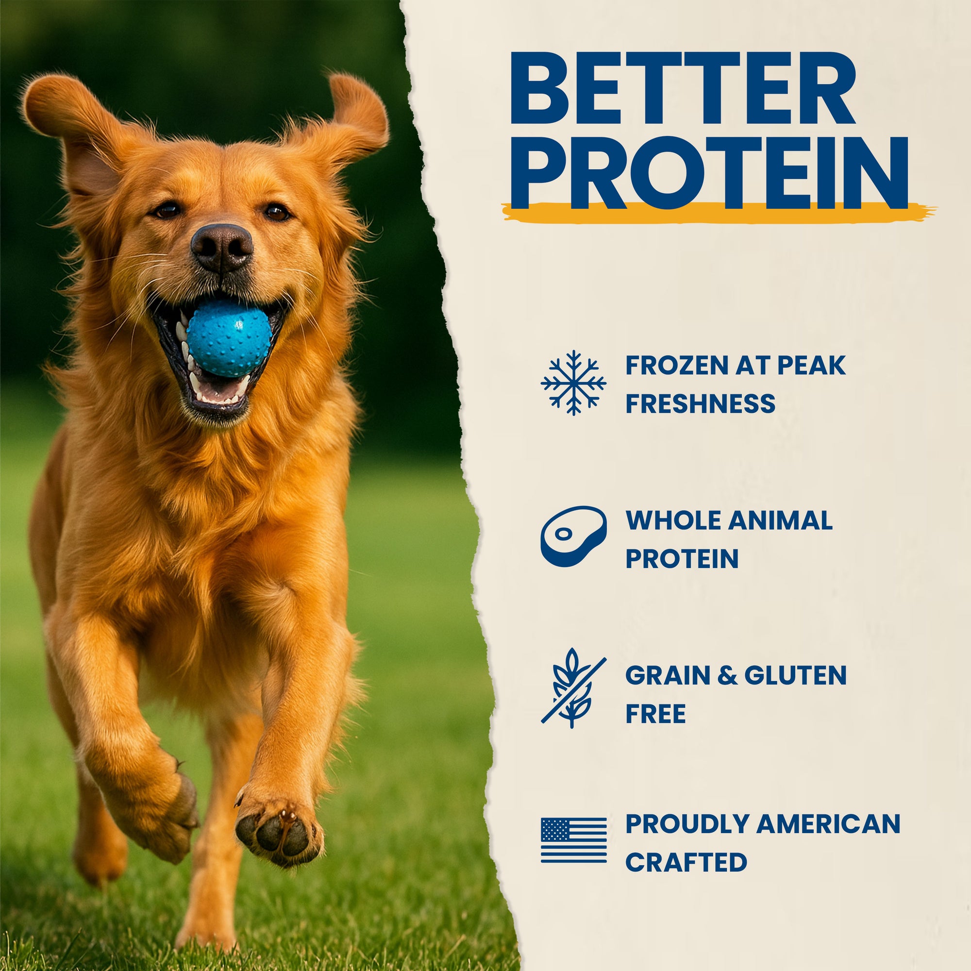 Primal Protein Bites