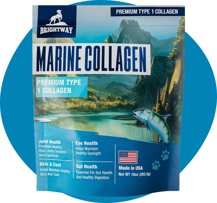 Marine Collagen Peptide for Dogs